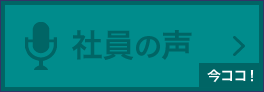 社員の声